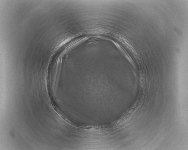 X0000116450434200912221547