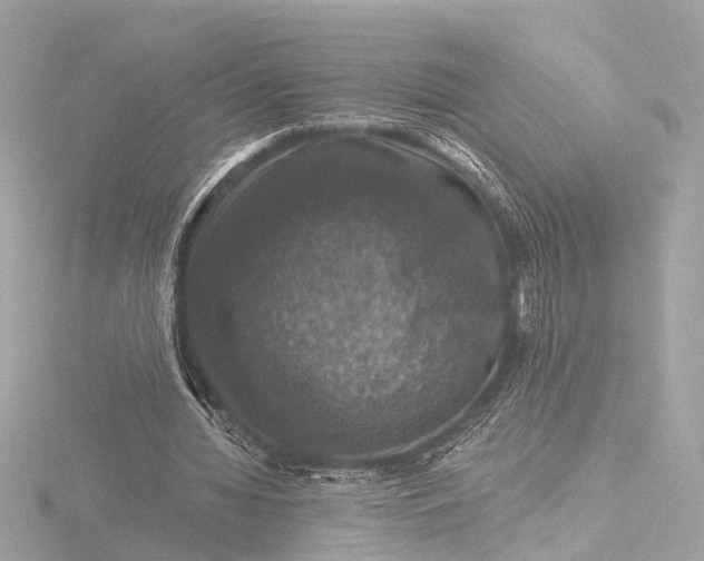 X0000116450436200912221547