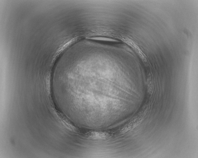X0000116450442200912221547