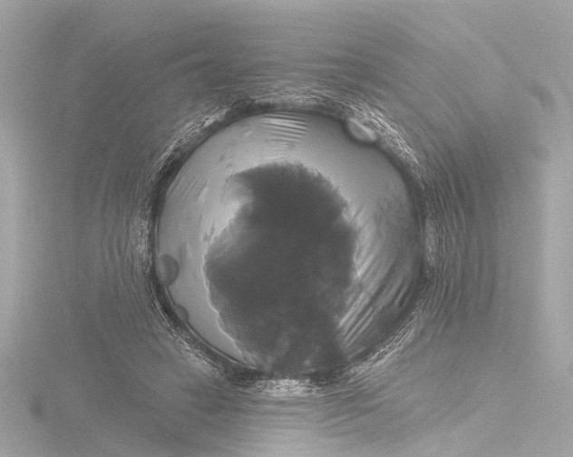 X0000116450449200912221547