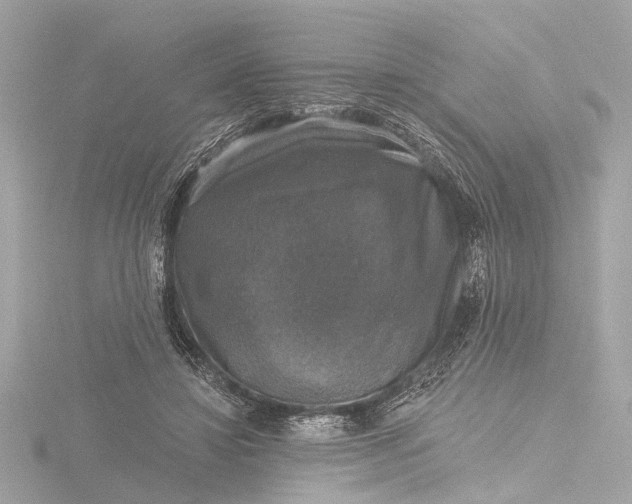 X0000116450452200912221547