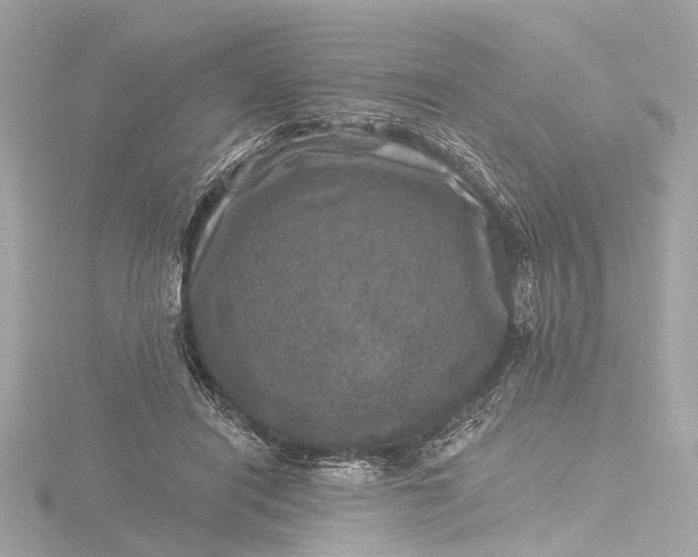 X0000116450454200912221547