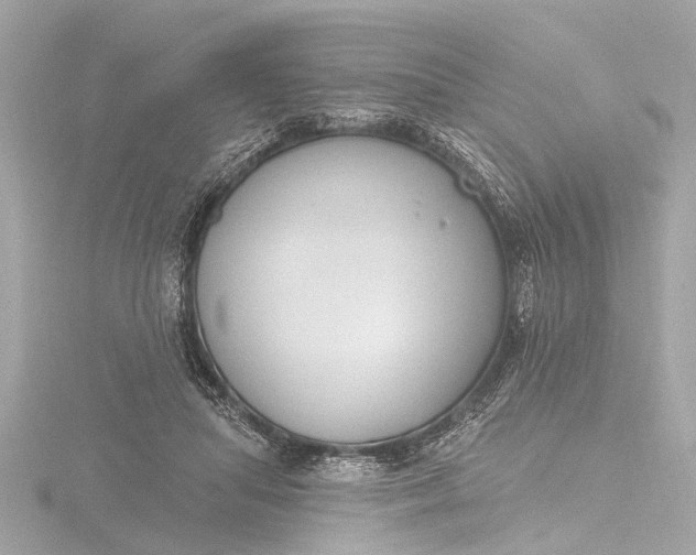 X0000116450455200912221547