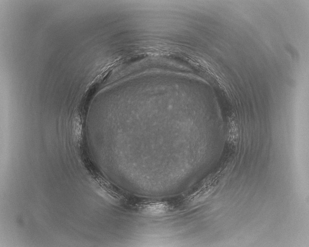 X0000116450456200912221547