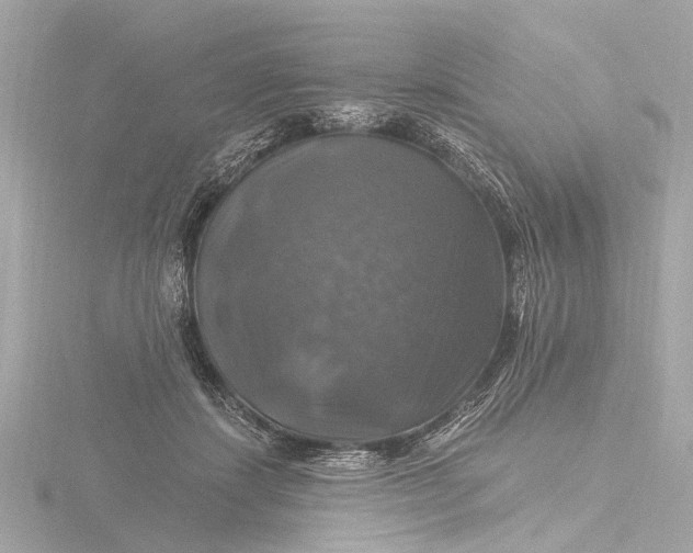 X0000116450459200912221547