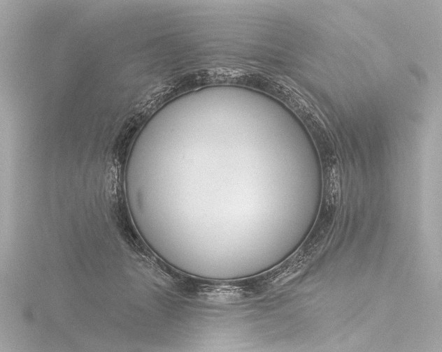 X0000116450463200912221547