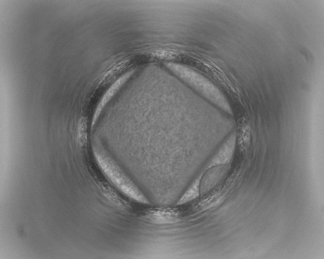X0000116450466200912221547