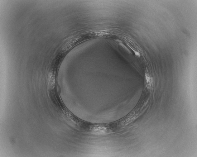 X0000116450471200912221548
