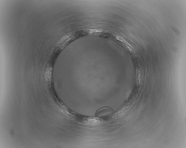 X0000116450475200912221548