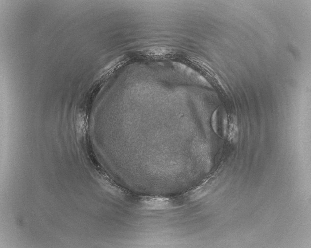 X0000116450476200912221548