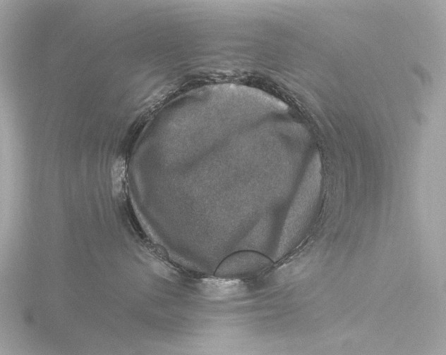 X0000116450480200912221548