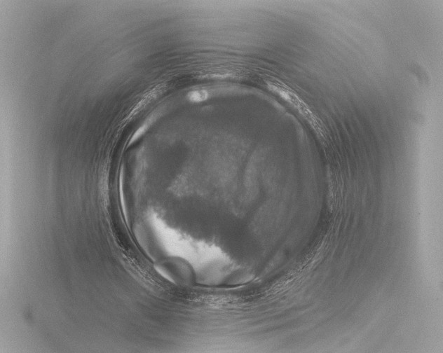 X0000116450482200912221547