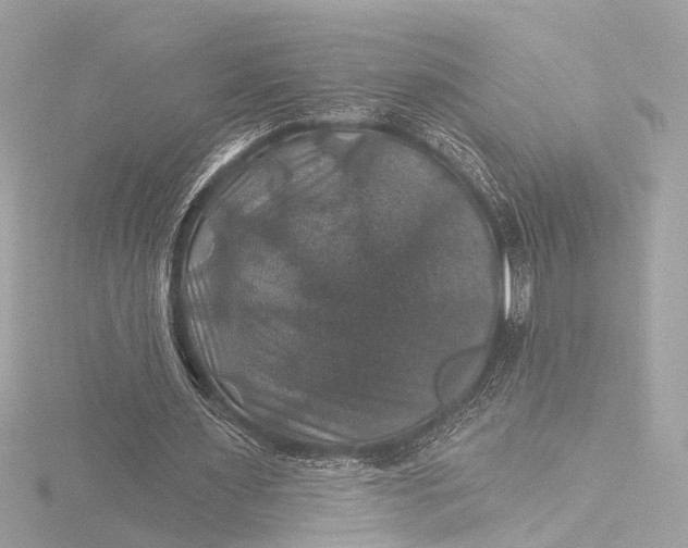 X0000116450483200912221547