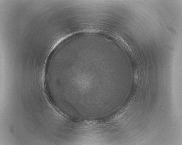 X0000116450484200912221547