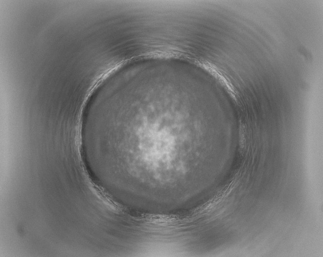 X0000116450486200912221547