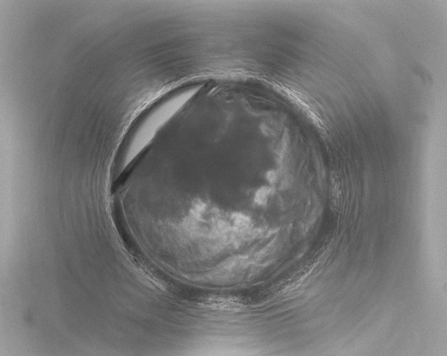 X0000116450487200912221547