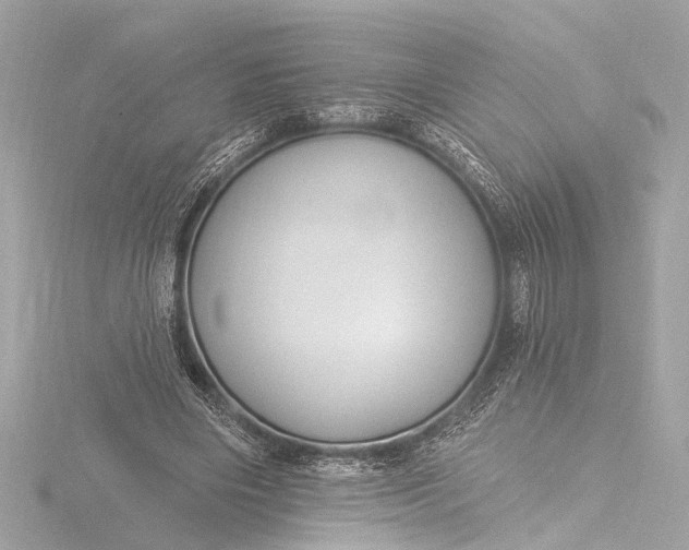X0000116450490200912221547