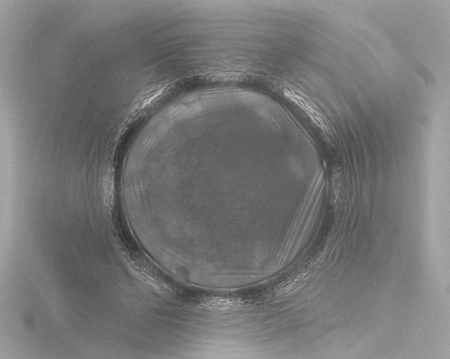 X0000116450494200912221547