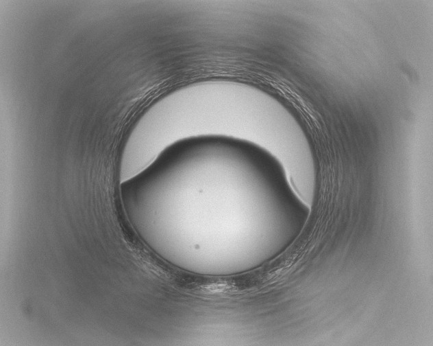 X0000116450505200912221547