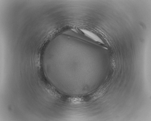 X0000116450512200912221547