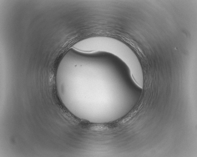 X0000116450521200912221547