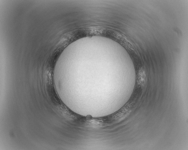 X0000116450522200912221546