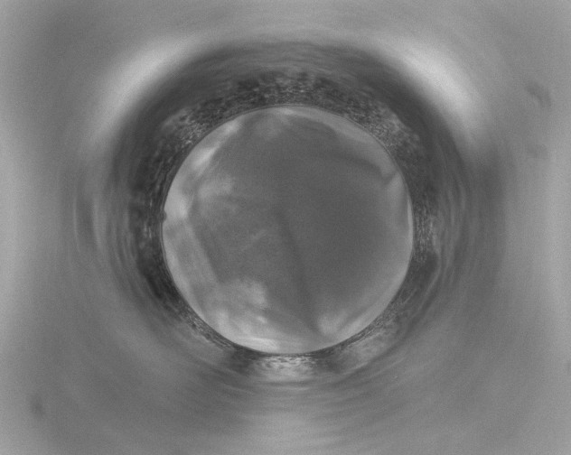 X0000116450526200912221546