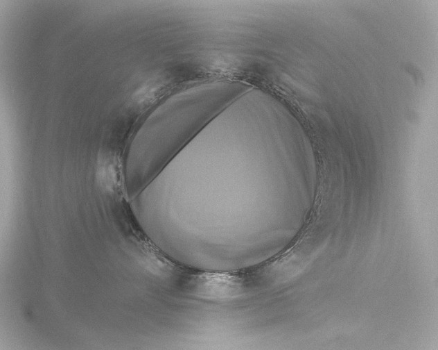 X0000116450528200912221546