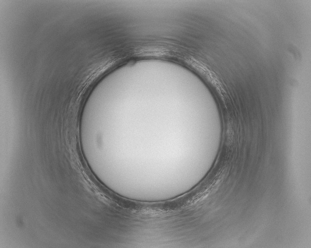 X0000116450529200912221546