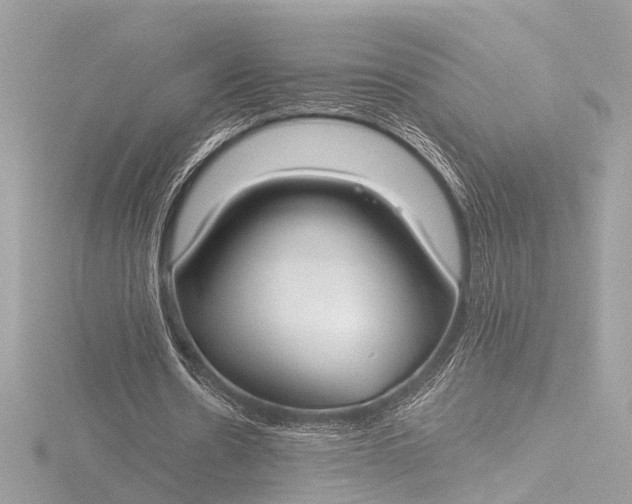 X0000116450530200912221546