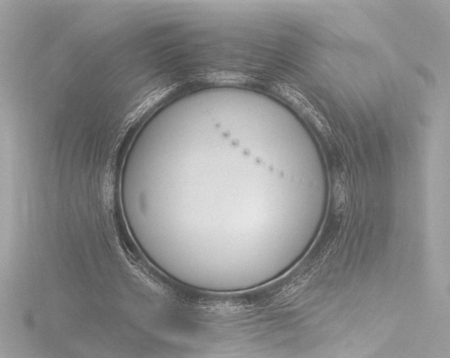 X0000116450533200912221546