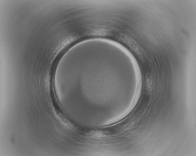X0000116450534200912221546