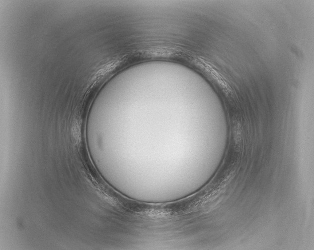 X0000116450537200912221546