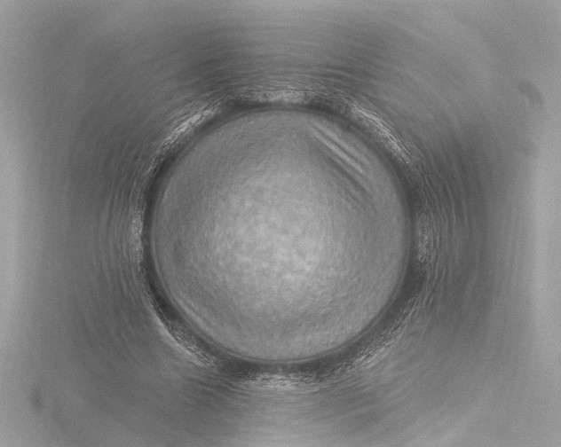 X0000116450538200912221546