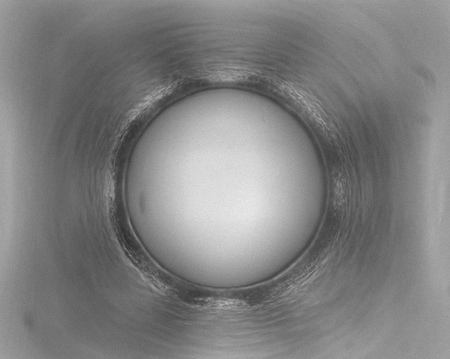 X0000116450539200912221546