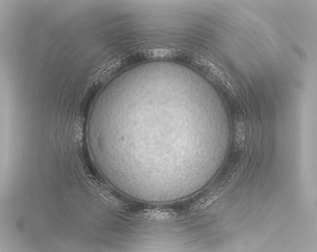 X0000116450545200912221546