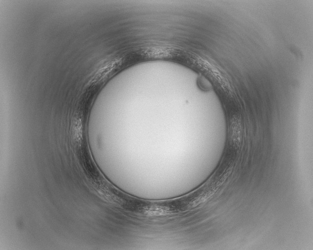 X0000116450549200912221546