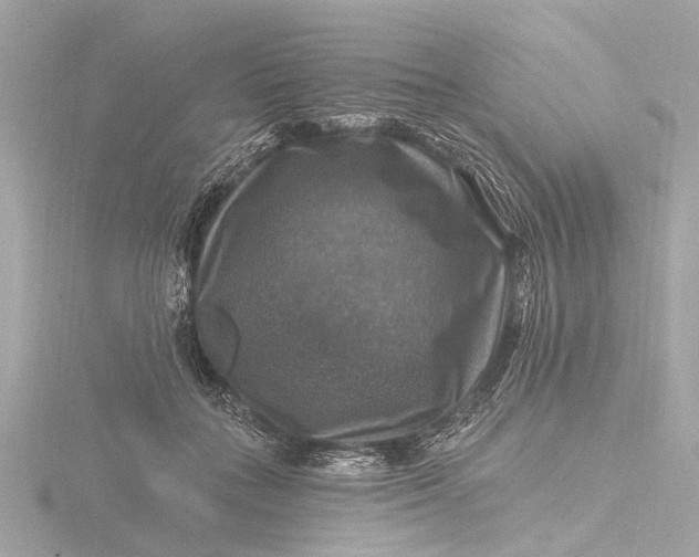 X0000116450555200912221546