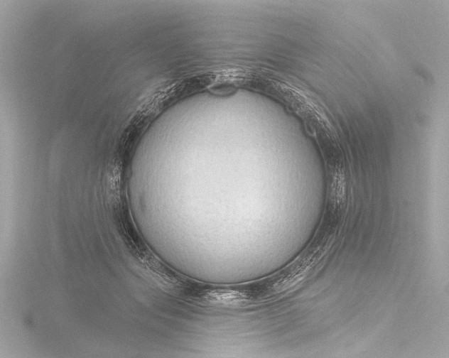 X0000116450557200912221546