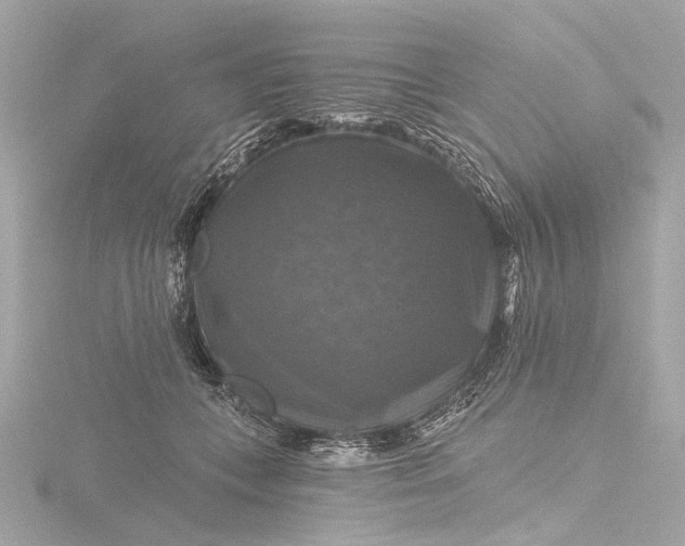 X0000116450559200912221546
