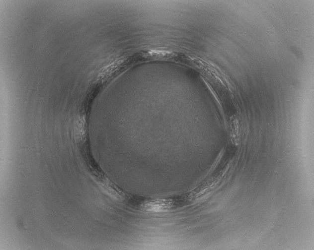 X0000116450563200912221546