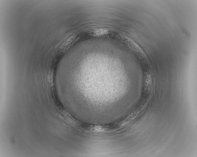X0000116450565200912221546