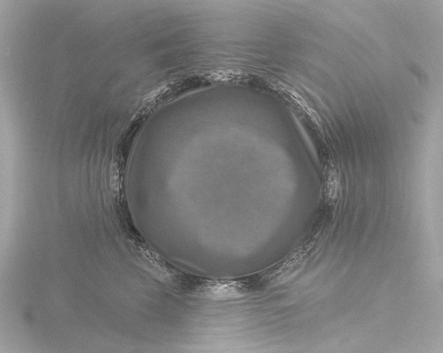 X0000116450569200912221546