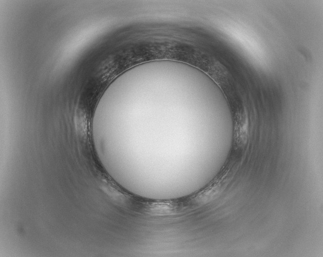 X0000116450574200912221546