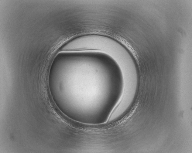 X0000116450577200912221546
