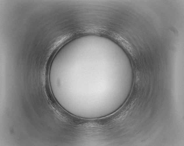 X0000116450578200912221546