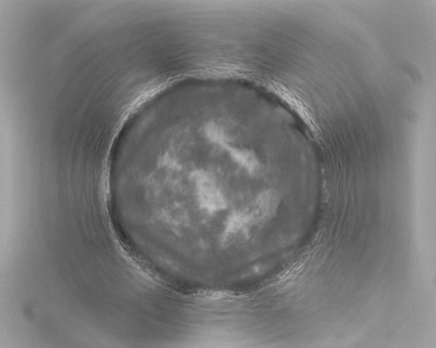 X0000116450582200912221546