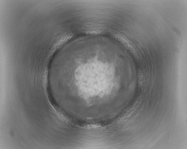X0000116450586200912221546