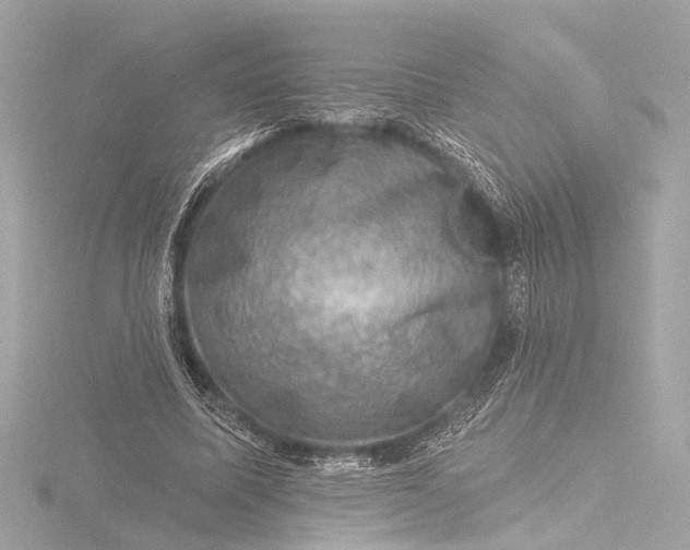 X0000116450587200912221546
