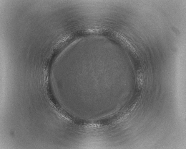 X0000116450593200912221546